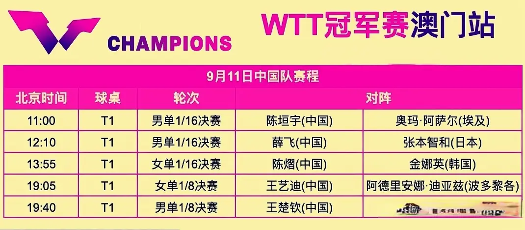 MiOvW, 乒一哥张本, 决赛 MiOvW, 乒一哥张本, 决赛