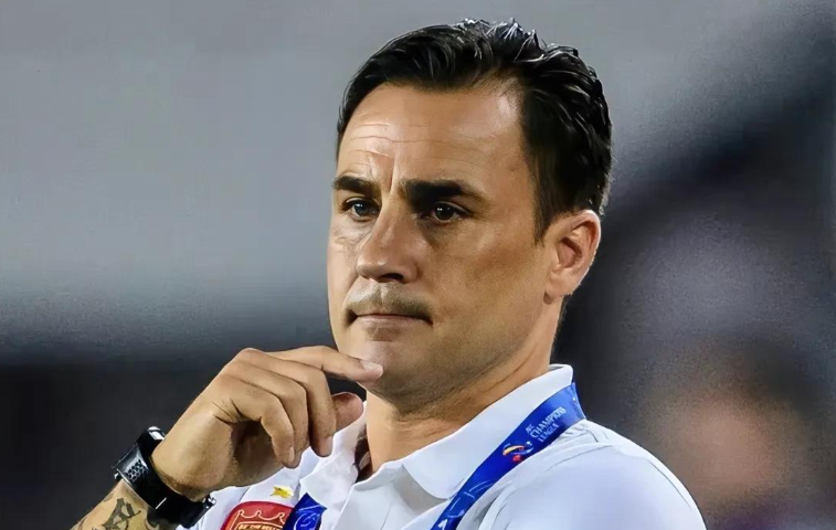 坦国家队现, 但尚未获得, 公布